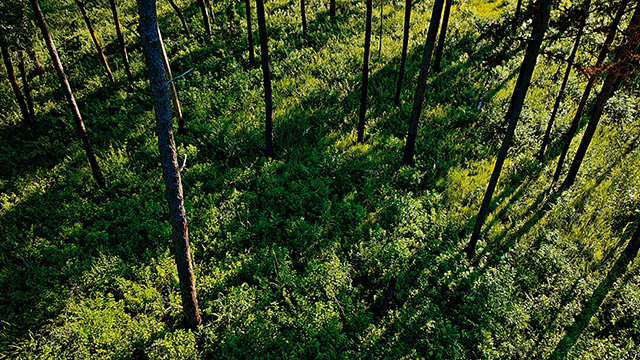 Check for Ambient Film Season 2 airing on a public television station near you!